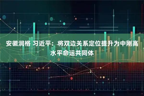 安徽润格 习近平：将双边关系定位提升为中刚高水平命运共同体