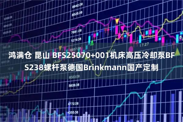 鸿满仓 昆山 BFS25070+001机床高压冷却泵BFS238螺杆泵德国Brinkmann国产定制