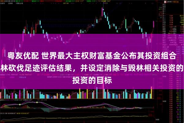 粤友优配 世界最大主权财富基金公布其投资组合的森林砍伐足迹评估结果,并设定消除与毁林相关投资的目标