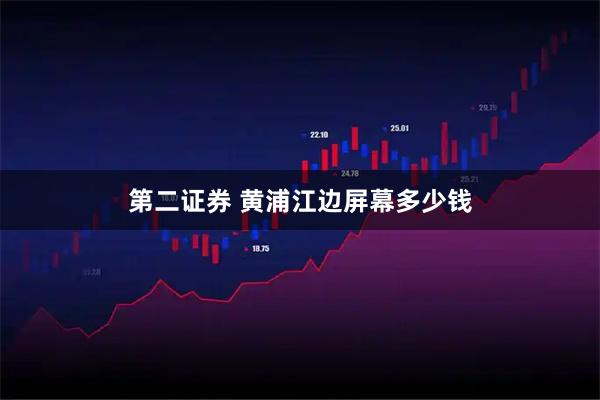 第二证券 黄浦江边屏幕多少钱