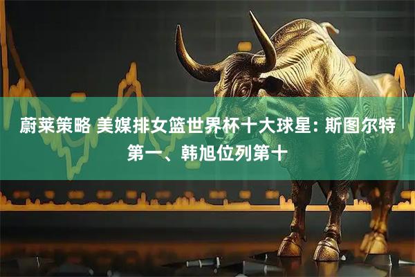 蔚莱策略 美媒排女篮世界杯十大球星: 斯图尔特第一、韩旭位列第十