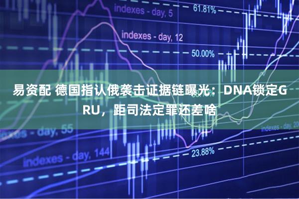 易资配 德国指认俄袭击证据链曝光：DNA锁定GRU，距司法定罪还差啥